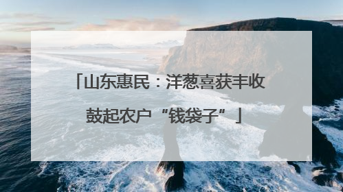山东惠民：洋葱喜获丰收 鼓起农户“钱袋子”