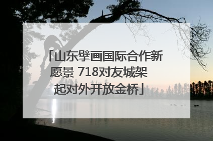 山东擘画国际合作新愿景 718对友城架起对外开放金桥