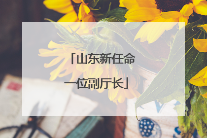 山东新任命一位副厅长