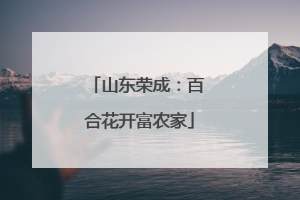 山东荣成：百合花开富农家