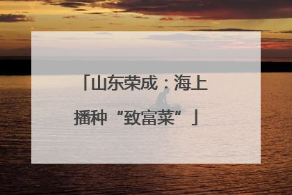 山东荣成：海上播种“致富菜”