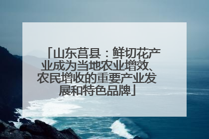 山东莒县：鲜切花产业成为当地农业增效、农民增收的重要产业发展和特色品牌
