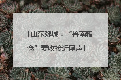 山东郯城：“鲁南粮仓”麦收接近尾声