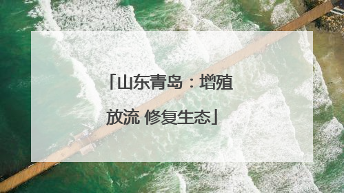 山东青岛：增殖放流 修复生态