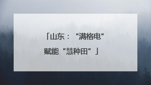 山东：“满格电”赋能“慧种田”