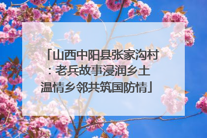 山西中阳县张家沟村：老兵故事浸润乡土 温情乡邻共筑国防情