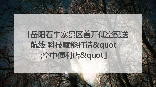 岳阳石牛寨景区首开低空配送航线 科技赋能打造"空中便利店"