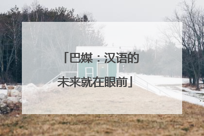巴媒：汉语的未来就在眼前
