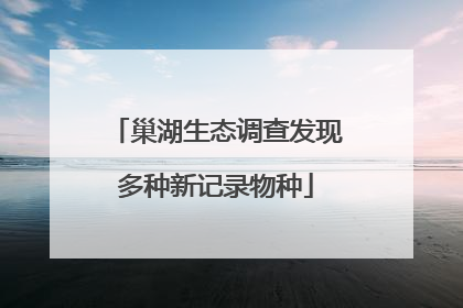 巢湖生态调查发现多种新记录物种