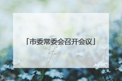 市委常委会召开会议