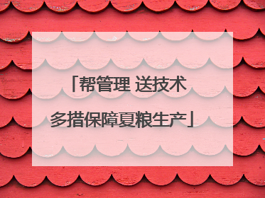 帮管理 送技术 多措保障夏粮生产