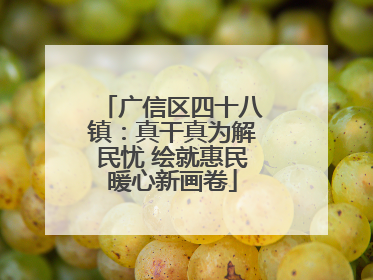 广信区四十八镇：真干真为解民忧 绘就惠民暖心新画卷