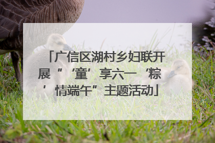 广信区湖村乡妇联开展“‘童’享六一‘粽’情端午”主题活动