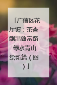 广信区花厅镇：茶香飘出致富路 绿水青山绘新篇（图）