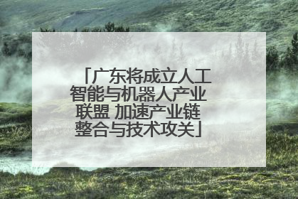 广东将成立人工智能与机器人产业联盟 加速产业链整合与技术攻关