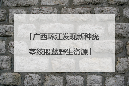 广西环江发现新种疣茎绞股蓝野生资源