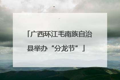 广西环江毛南族自治县举办“分龙节”