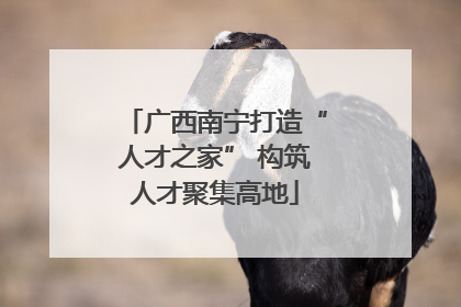 广西南宁打造“人才之家” 构筑人才聚集高地