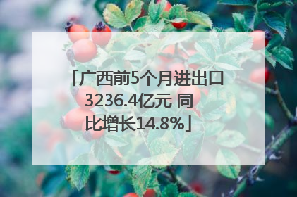 广西前5个月进出口3236.4亿元 同比增长14.8%