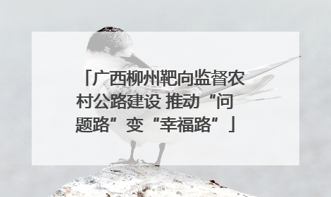 广西柳州靶向监督农村公路建设 推动“问题路”变“幸福路”