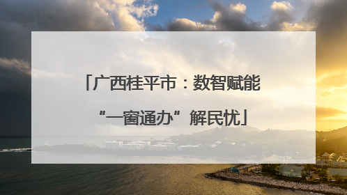 广西桂平市：数智赋能“一窗通办”解民忧