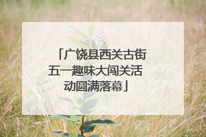 广饶县西关古街五一趣味大闯关活动圆满落幕