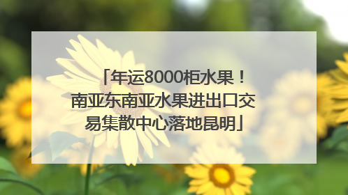 年运8000柜水果！南亚东南亚水果进出口交易集散中心落地昆明