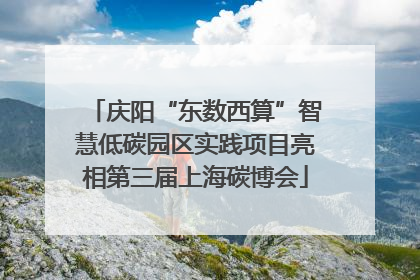 庆阳“东数西算”智慧低碳园区实践项目亮相第三届上海碳博会