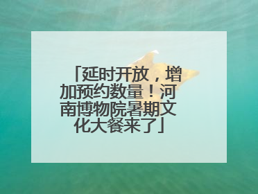 延时开放，增加预约数量！河南博物院暑期文化大餐来了
