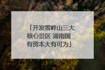 开发雪峰山三大核心景区 湖南国有资本大有可为