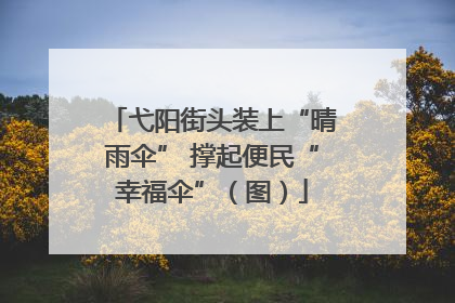 弋阳街头装上“晴雨伞” 撑起便民“幸福伞”（图）