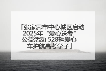 张家界市中心城区启动2025年“爱心送考”公益活动 528辆爱心车护航高考学子