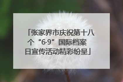 张家界市庆祝第十八个“6·9”国际档案日宣传活动精彩纷呈