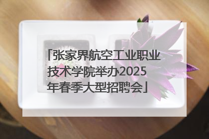 张家界航空工业职业技术学院举办2025年春季大型招聘会