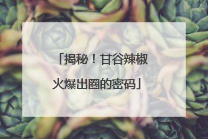 揭秘！甘谷辣椒火爆出圈的密码