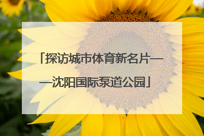 探访城市体育新名片——沈阳国际泵道公园