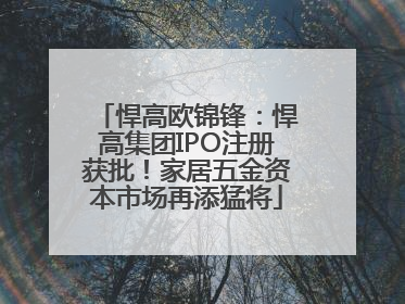 悍高欧锦锋：悍高集团IPO注册获批！家居五金资本市场再添猛将