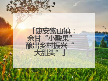 惠安紫山镇：余甘“小酸果”酿出乡村振兴“大甜头”