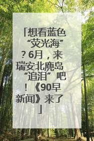 想看蓝色“荧光海”？6月，来瑞安北麂岛“追泪”吧！《90早新闻》来了