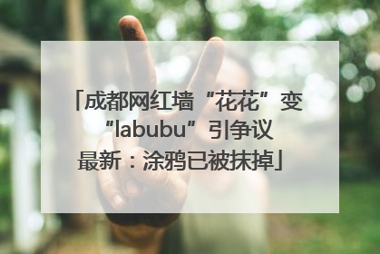 成都网红墙“花花”变“labubu”引争议 最新：涂鸦已被抹掉