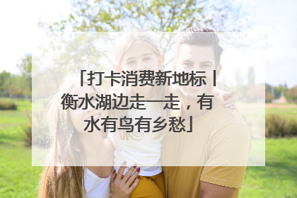 打卡消费新地标丨衡水湖边走一走，有水有鸟有乡愁