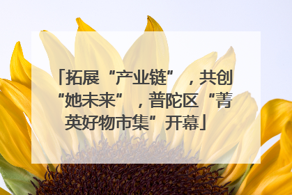 拓展“产业链”，共创“她未来”，普陀区“菁英好物市集”开幕