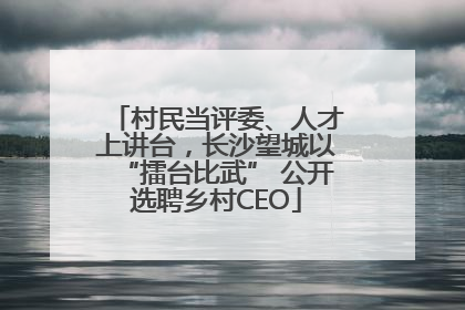村民当评委、人才上讲台，长沙望城以“擂台比武” 公开选聘乡村CEO
