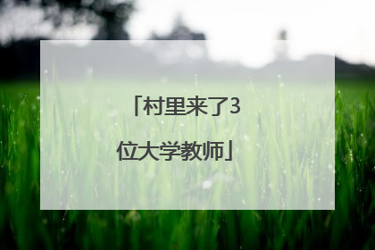 村里来了3位大学教师