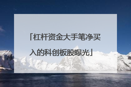 杠杆资金大手笔净买入的科创板股曝光