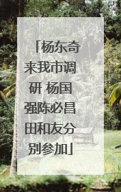 杨东奇来我市调研 杨国强陈必昌田和友分别参加