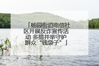 杨园街道电信社区开展反诈宣传活动 多措并举守护群众“钱袋子”