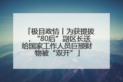 极目政情丨为获提拔，“80后”副区长送给国家工作人员巨额财物被“双开”