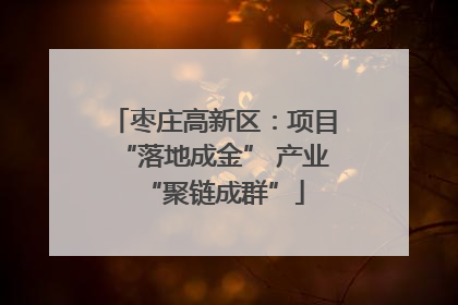 枣庄高新区：项目“落地成金” 产业“聚链成群”