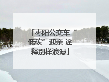 枣阳公交车“低碳”迎亲 诠释别样浪漫